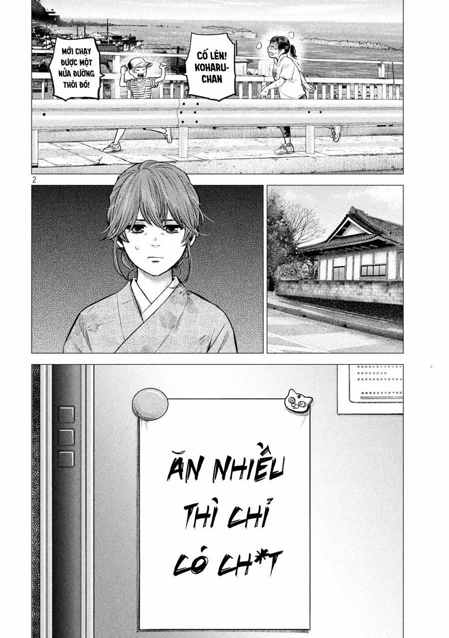 Hare Kon. Okawari! 7 trang 1