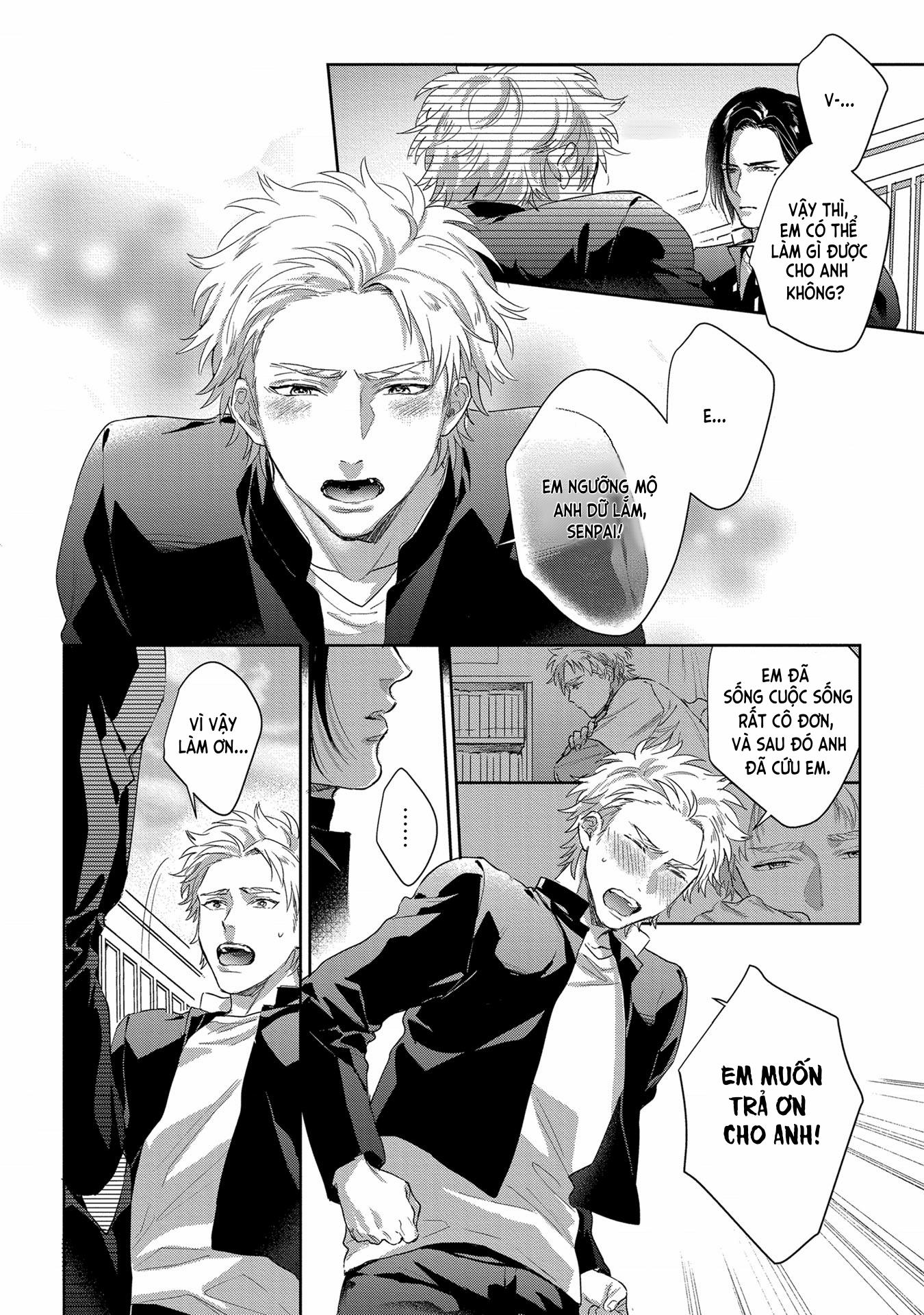 Hatsujou Relationship 1 trang 16