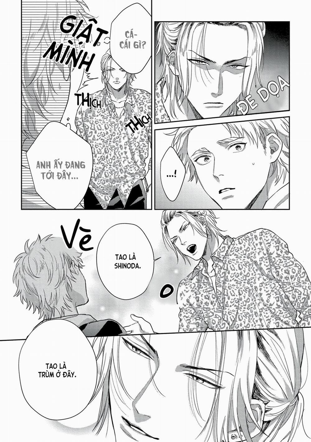 Hatsujou Relationship 2 trang 16