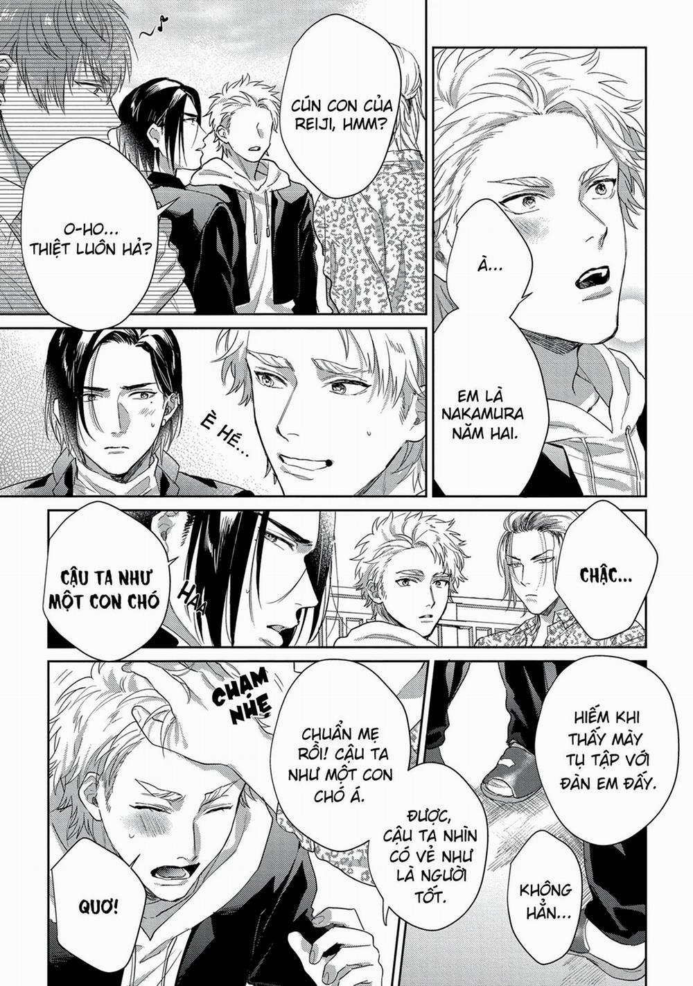 Hatsujou Relationship 2 trang 17