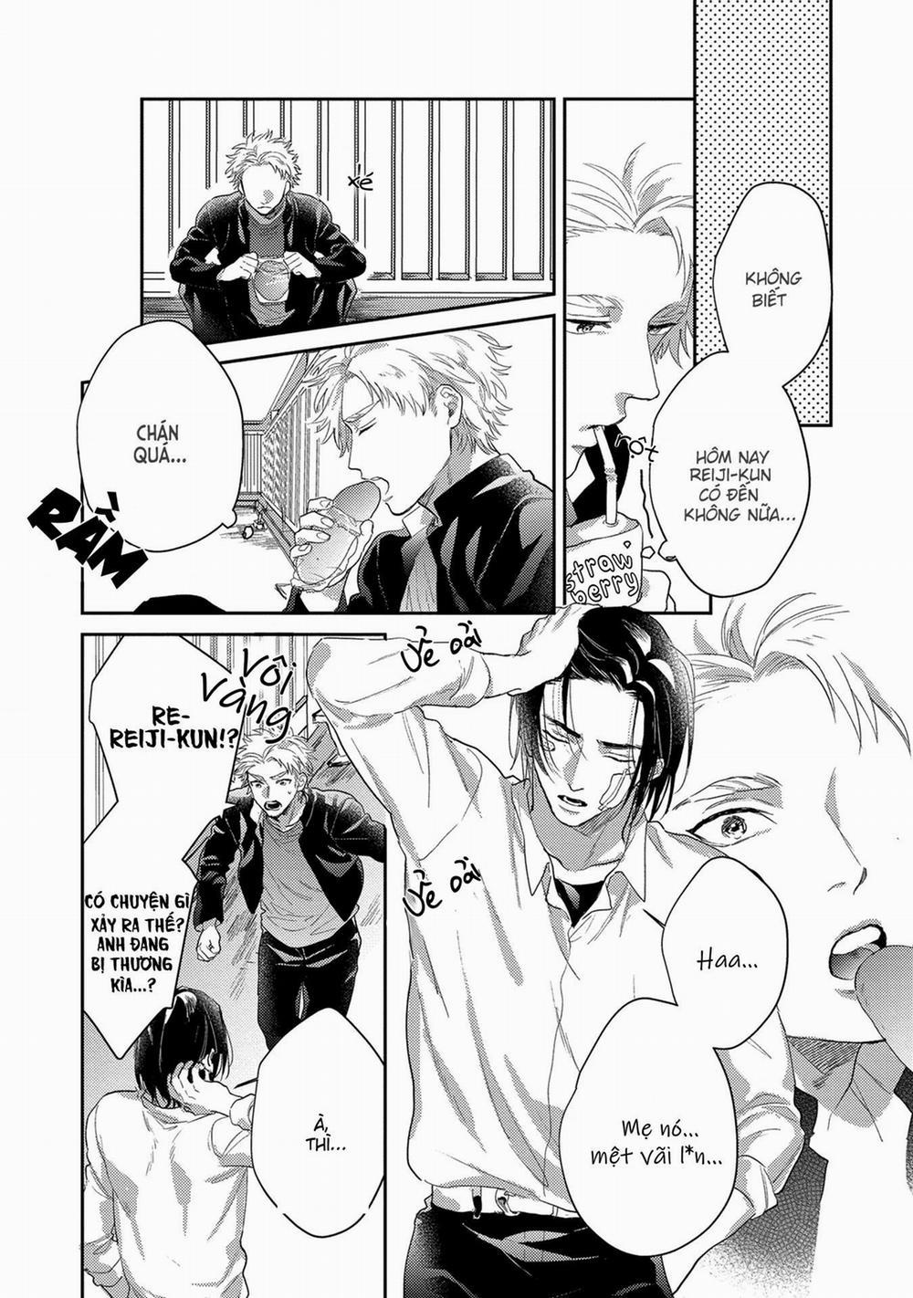 Hatsujou Relationship 3 trang 3