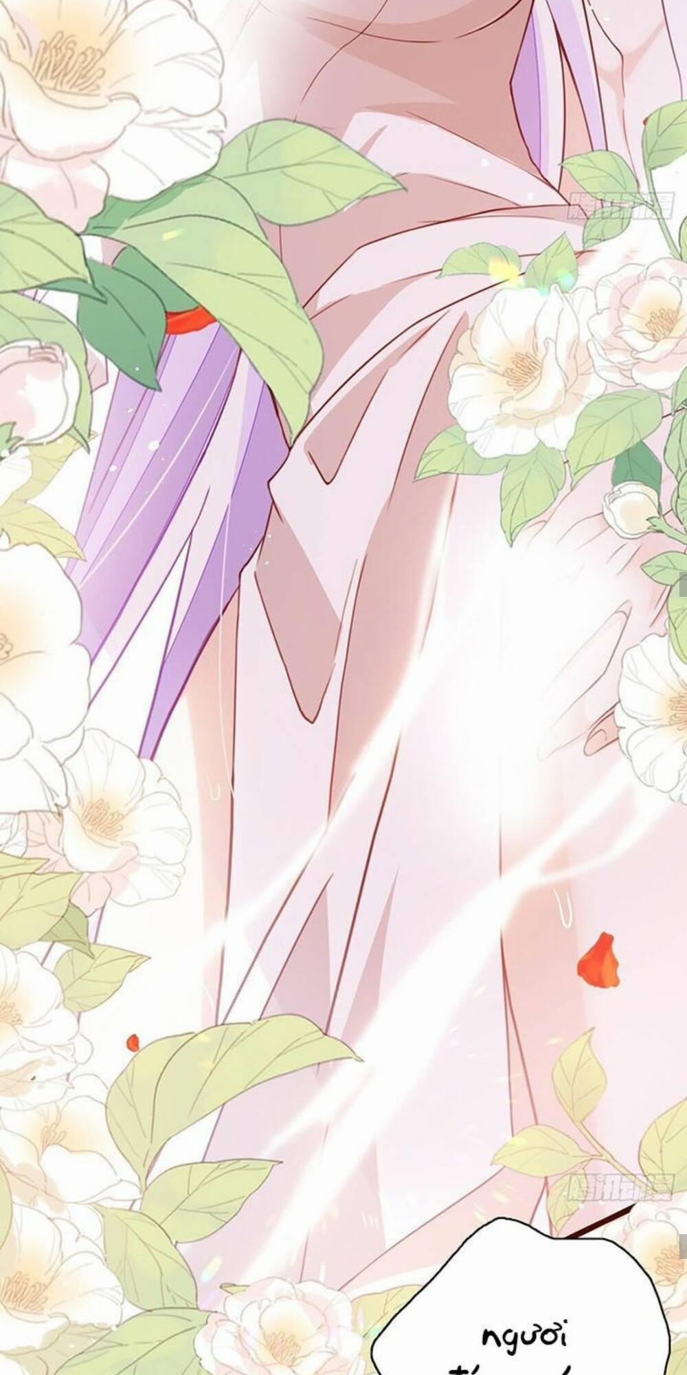 Hậu Cung Ba Ngàn Của Nãi Nãi 11 trang 6