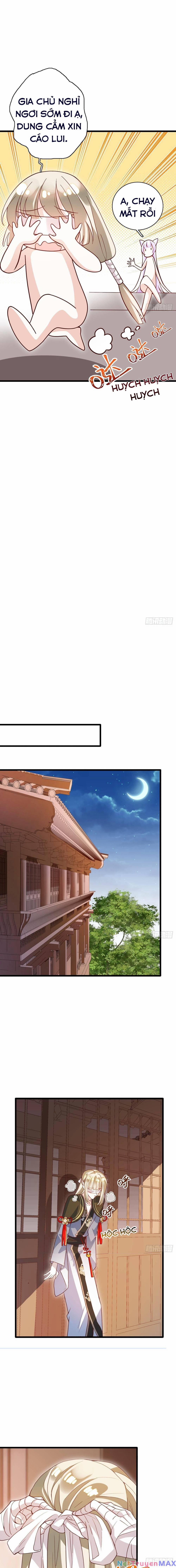 Hậu Cung Ba Ngàn Của Nãi Nãi 16 trang 11