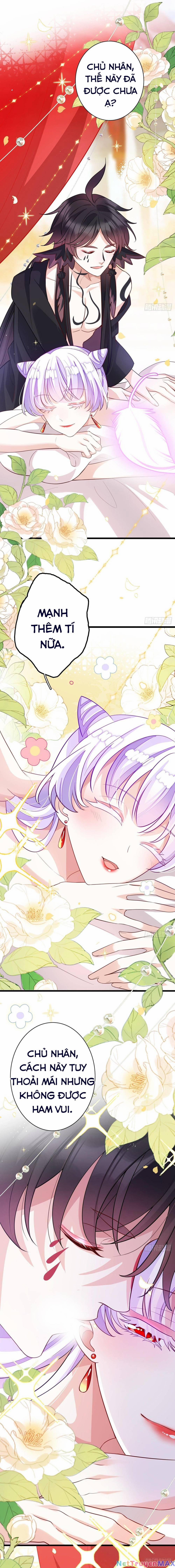 Hậu Cung Ba Ngàn Của Nãi Nãi 16 trang 5