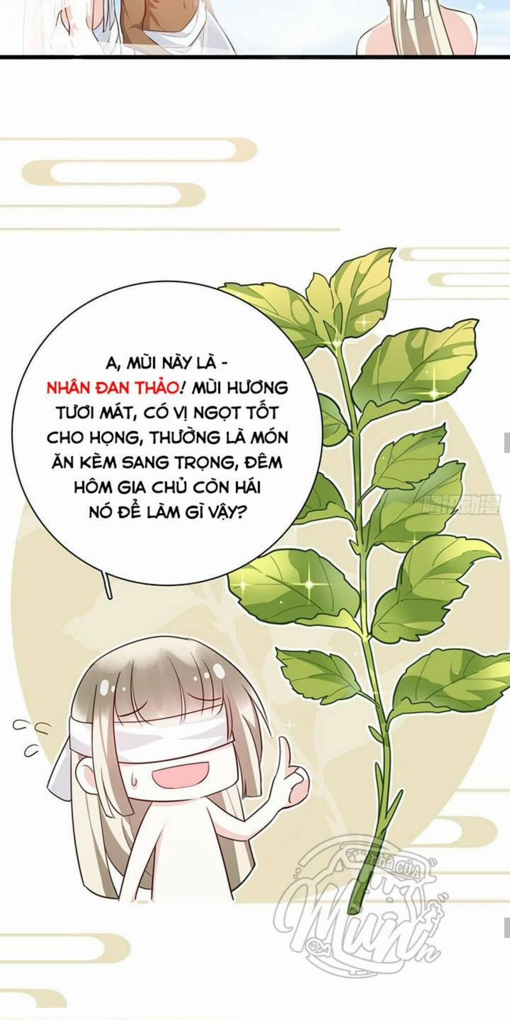 Hậu Cung Ba Ngàn Của Nãi Nãi 7 trang 36