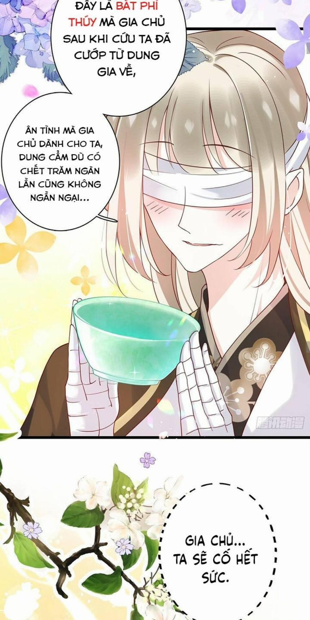 Hậu Cung Ba Ngàn Của Nãi Nãi 8 trang 33