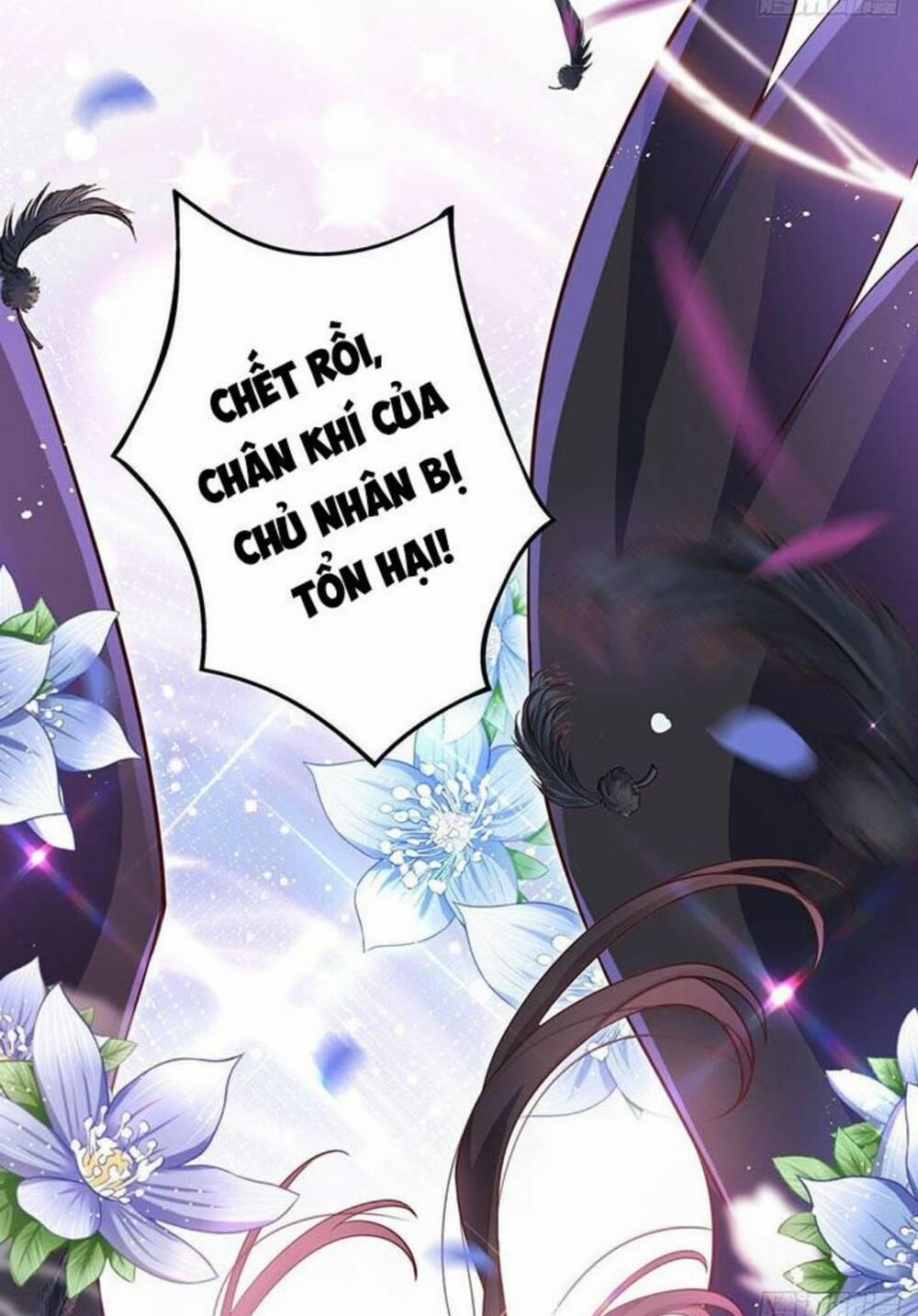 Hậu Cung Ba Ngàn Của Nãi Nãi 8 trang 5