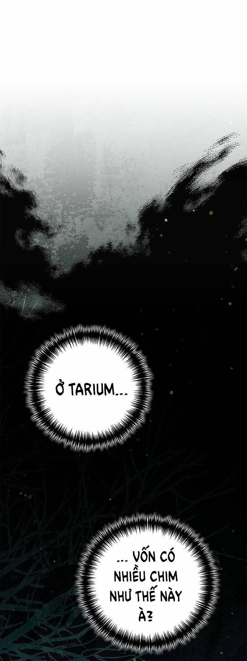 Hậu Cung Của Nữ Chính 105.1 trang 2