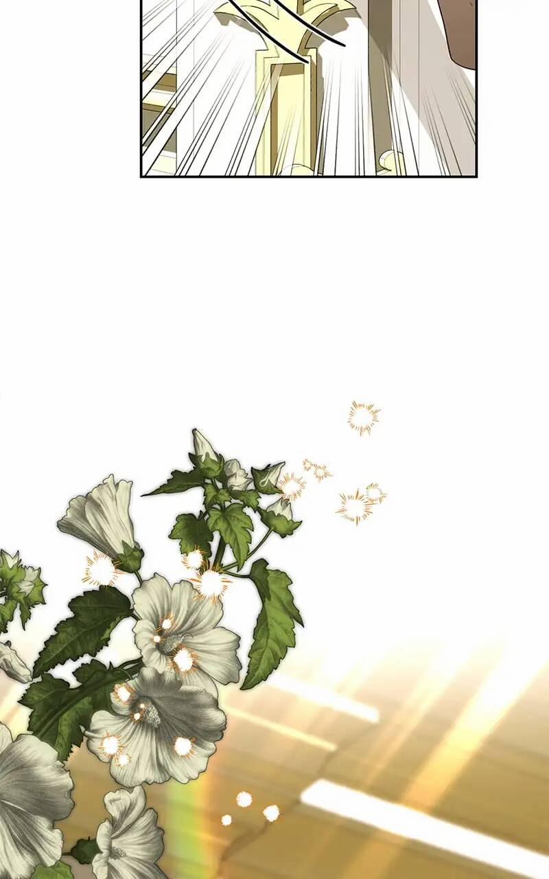 Hậu Cung Của Nữ Chính 114.1 trang 41