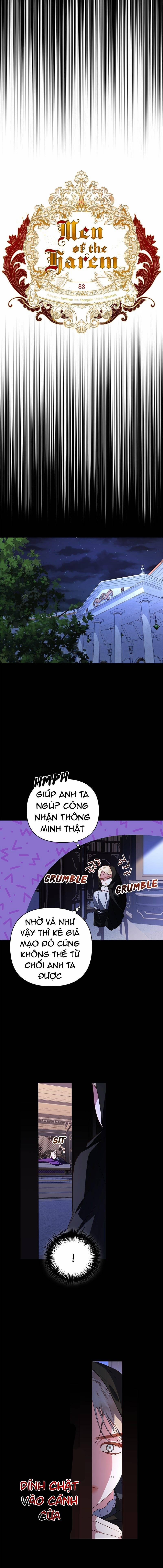 Hậu Cung Của Nữ Chính 88.1 trang 2