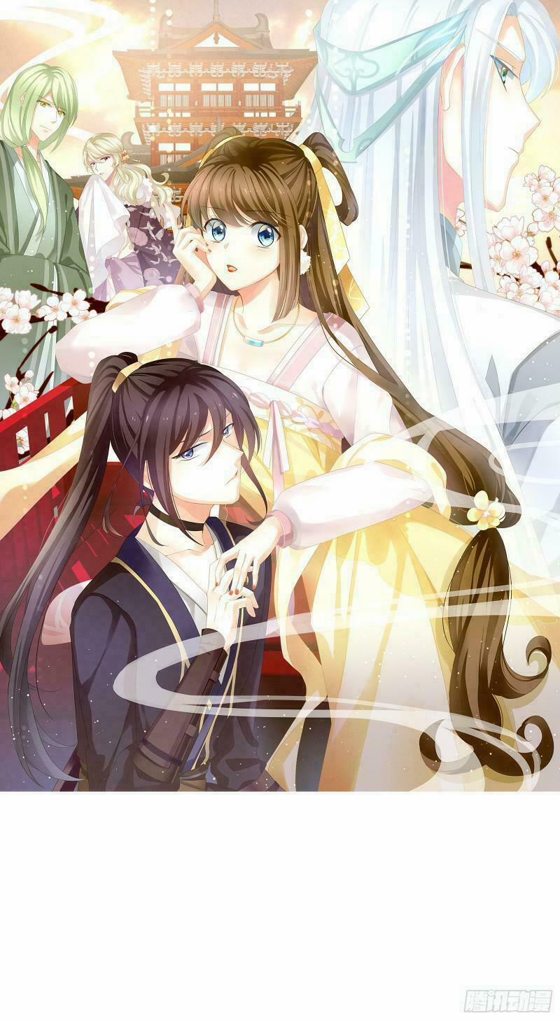 Hậu Cung Của Nữ Đế 1 trang 0