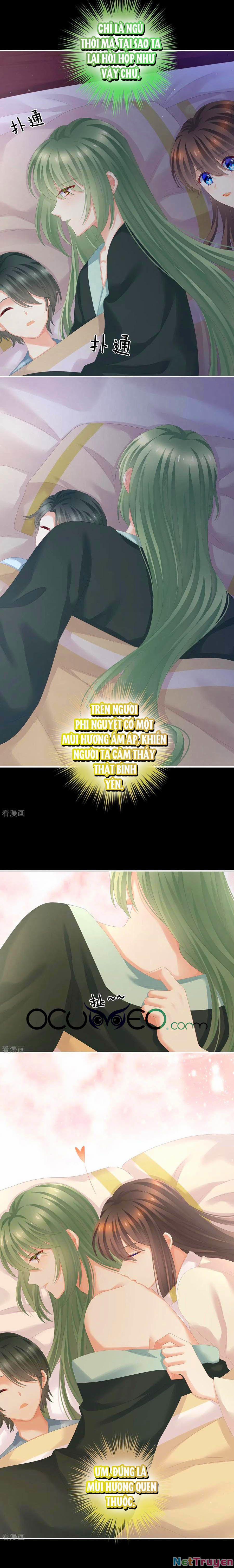 Hậu Cung Của Nữ Đế 261 trang 0