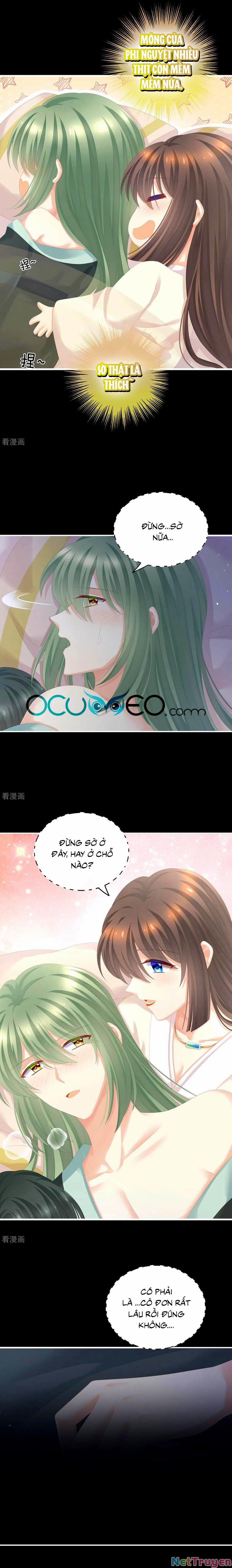 Hậu Cung Của Nữ Đế 261 trang 2