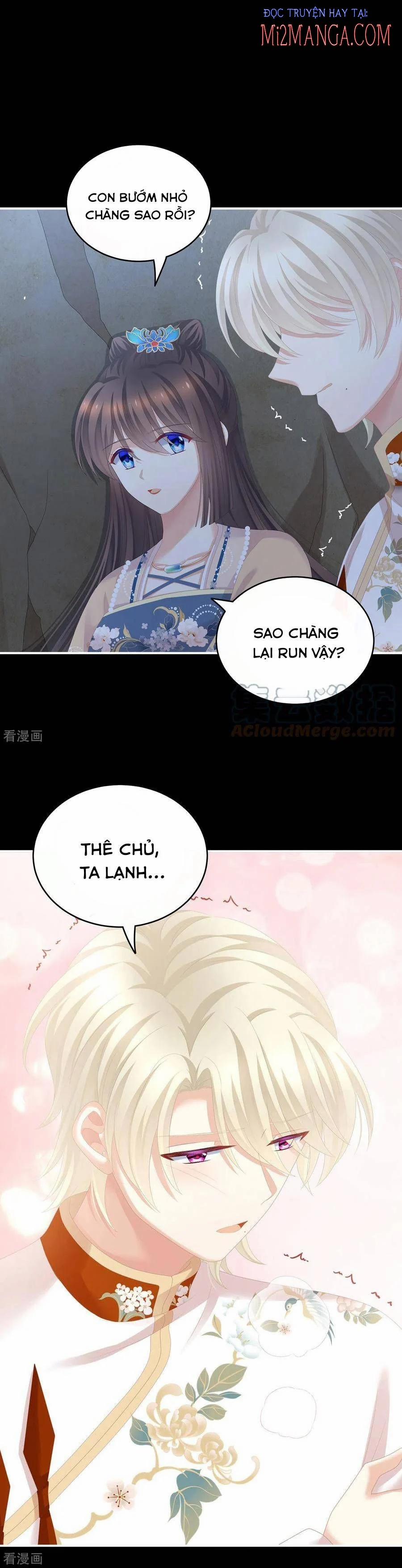 Hậu Cung Của Nữ Đế 267 trang 15