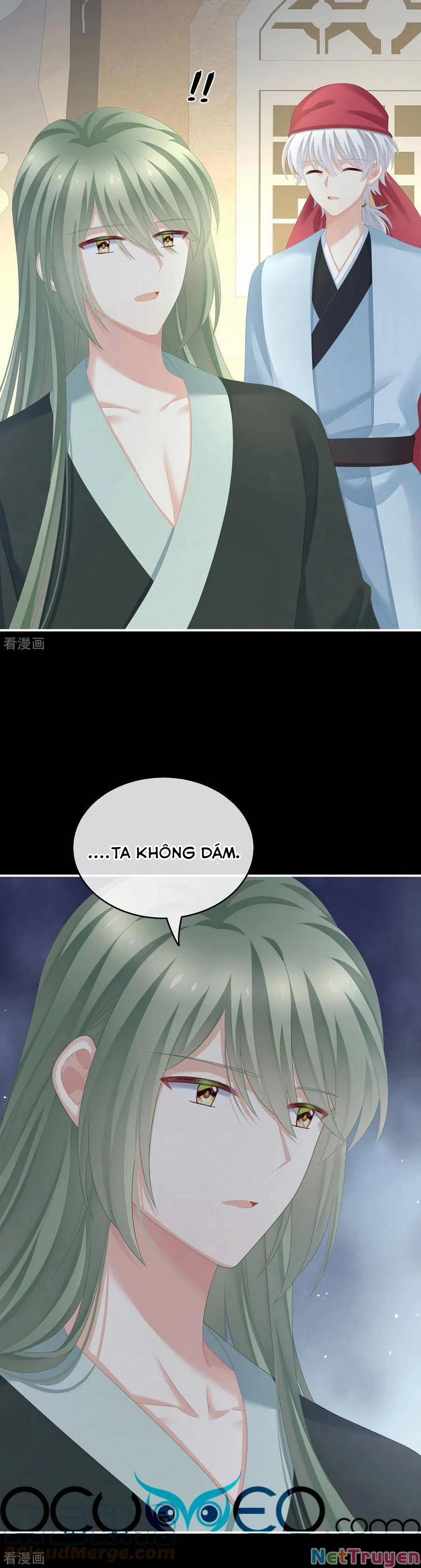 Hậu Cung Của Nữ Đế 269 trang 11