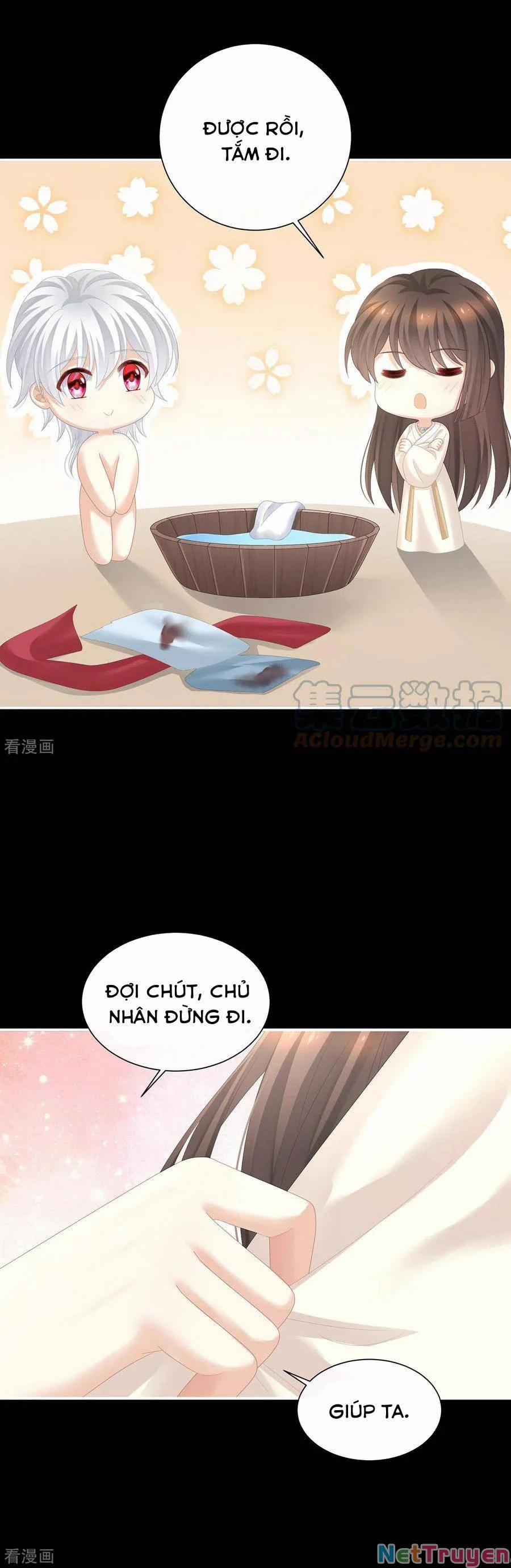 Hậu Cung Của Nữ Đế 271 trang 17