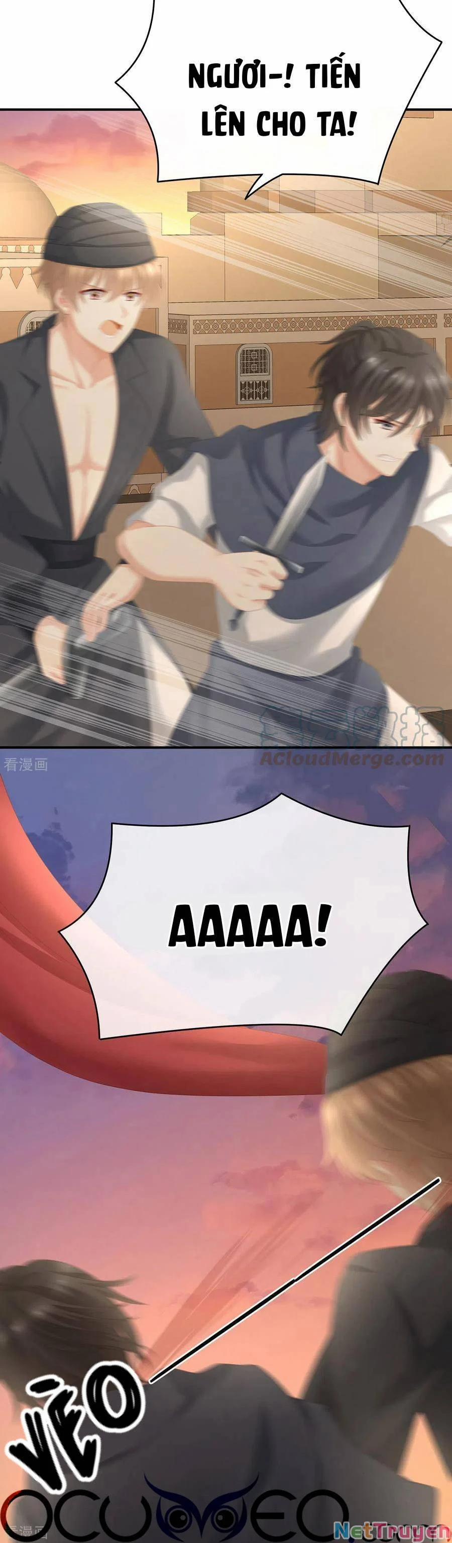 Hậu Cung Của Nữ Đế 271 trang 5