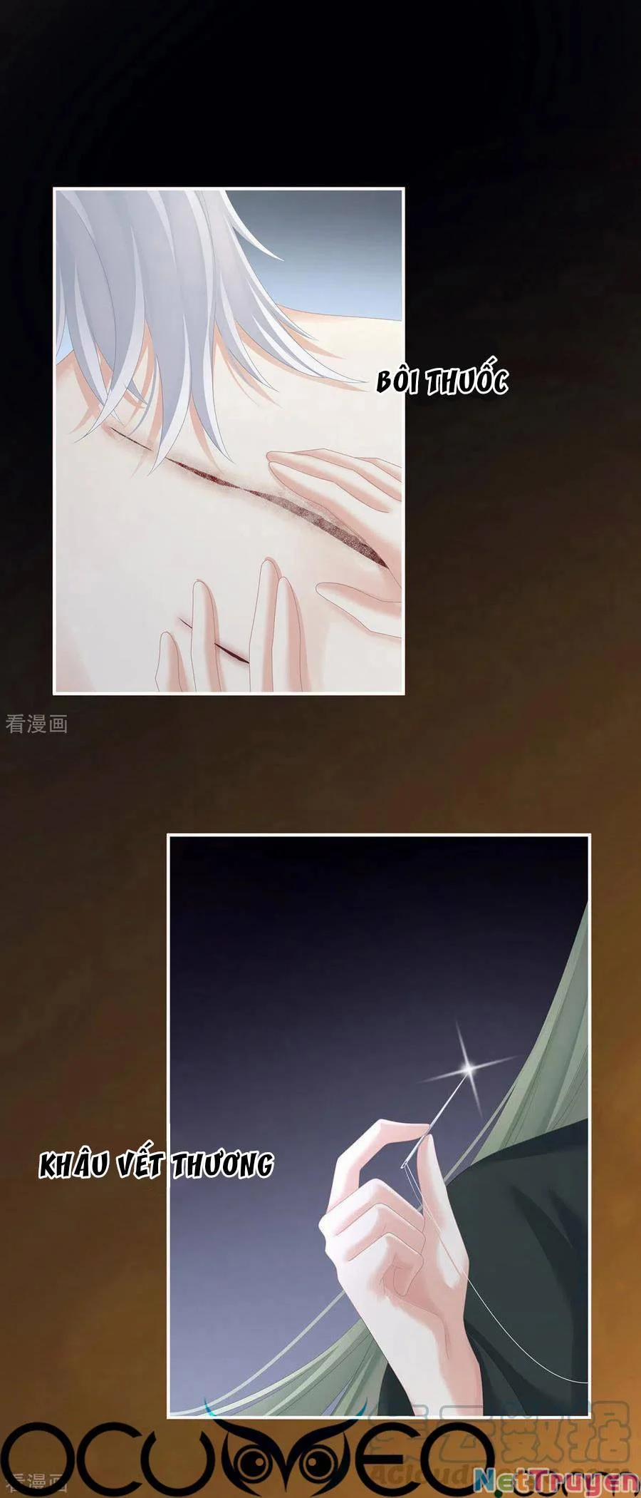 Hậu Cung Của Nữ Đế 272 trang 11