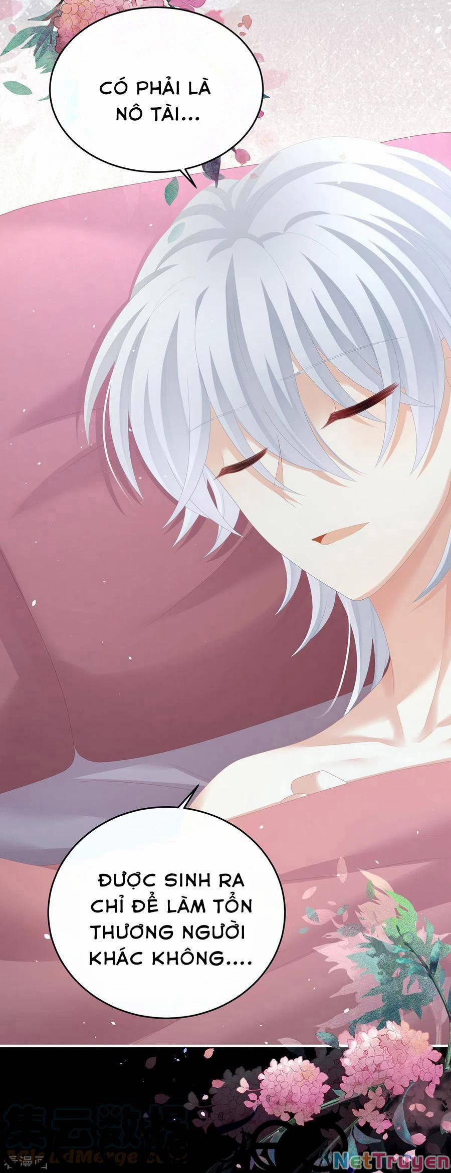 Hậu Cung Của Nữ Đế 272 trang 21