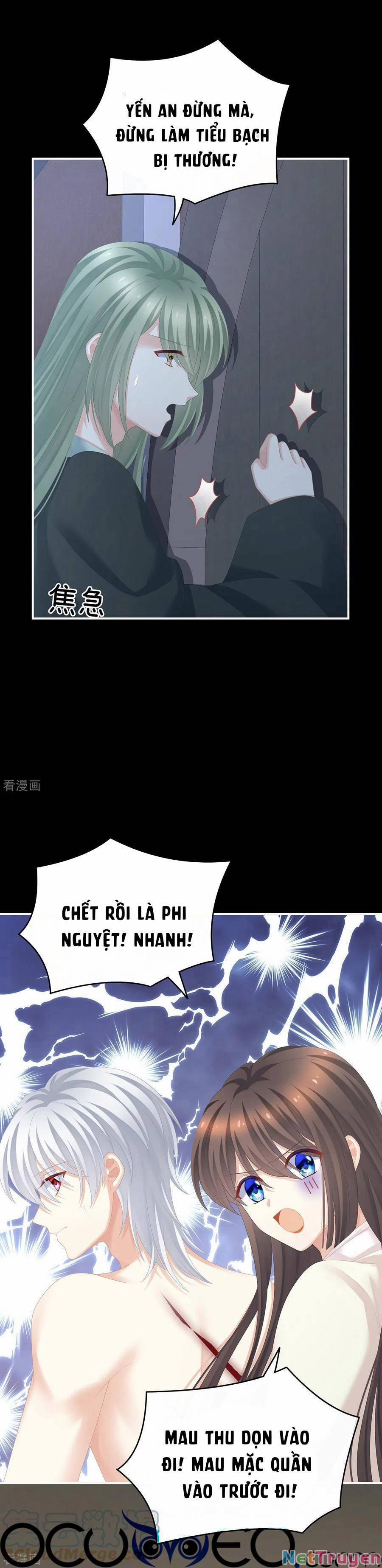 Hậu Cung Của Nữ Đế 272 trang 8