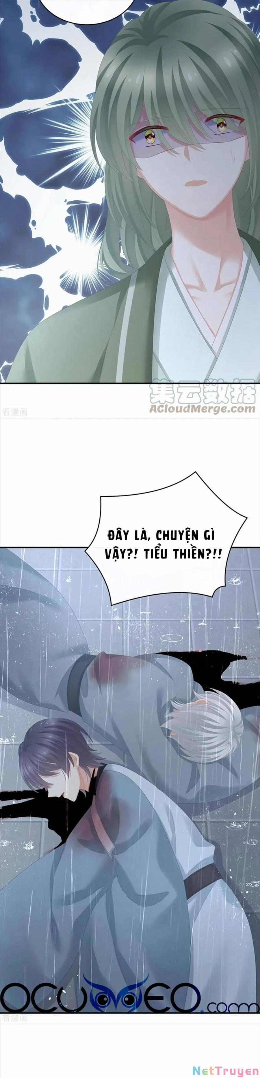 Hậu Cung Của Nữ Đế 273 trang 10