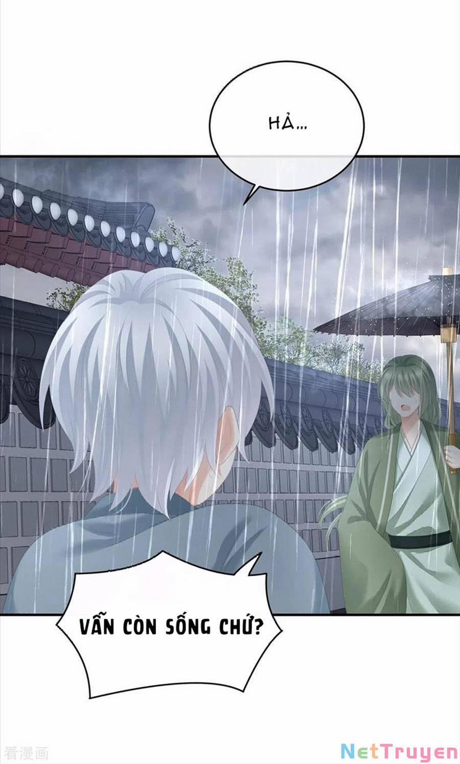 Hậu Cung Của Nữ Đế 273 trang 11