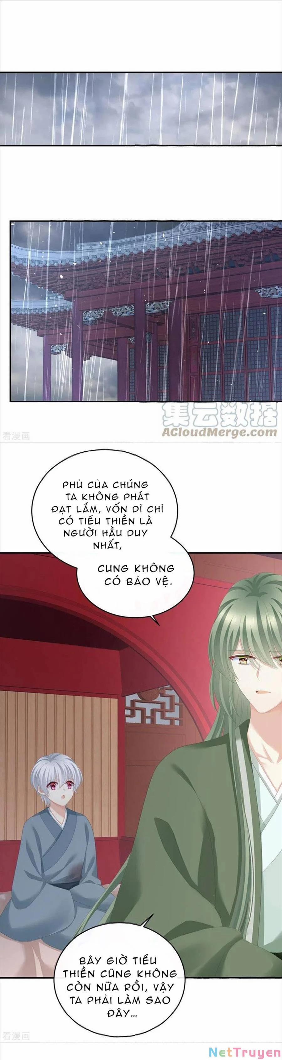 Hậu Cung Của Nữ Đế 273 trang 14