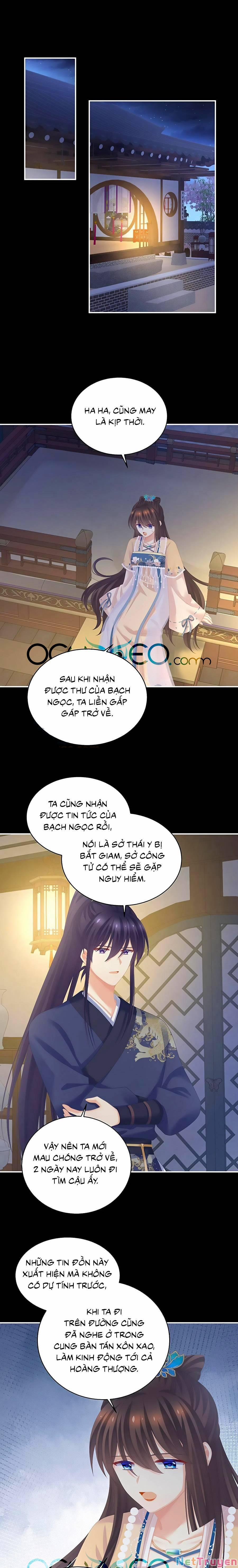Hậu Cung Của Nữ Đế 277 trang 8