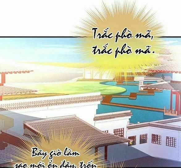 Hậu Cung Của Nữ Đế 28 trang 8