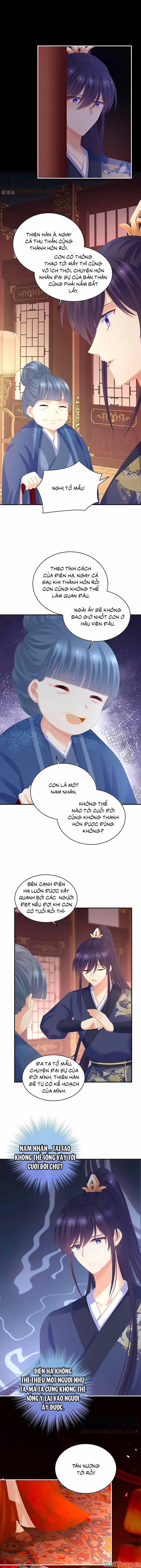 Hậu Cung Của Nữ Đế 281 trang 5