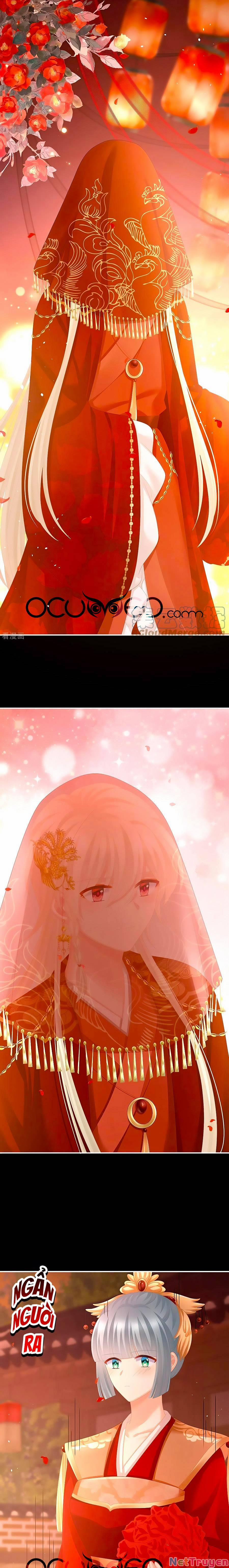 Hậu Cung Của Nữ Đế 281 trang 6