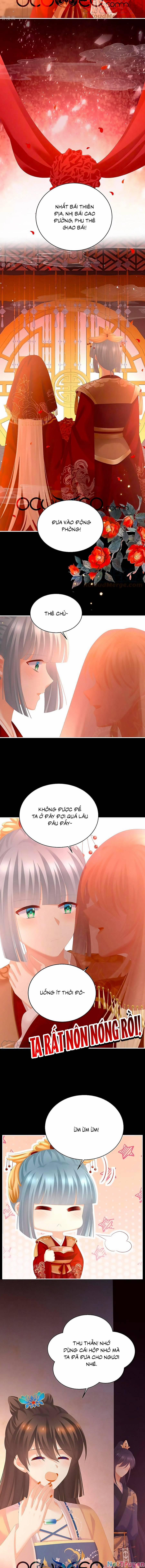 Hậu Cung Của Nữ Đế 281 trang 7