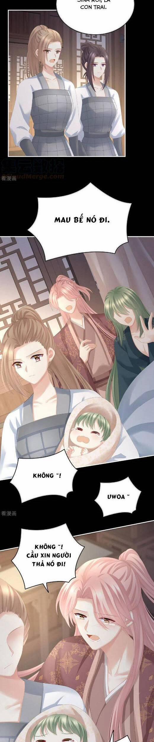 Hậu Cung Của Nữ Đế 293 trang 13