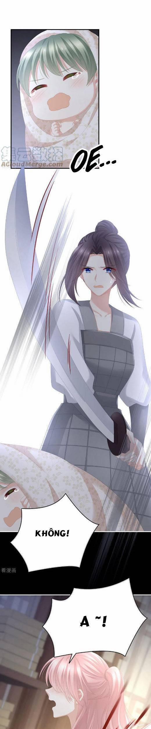 Hậu Cung Của Nữ Đế 294 trang 1