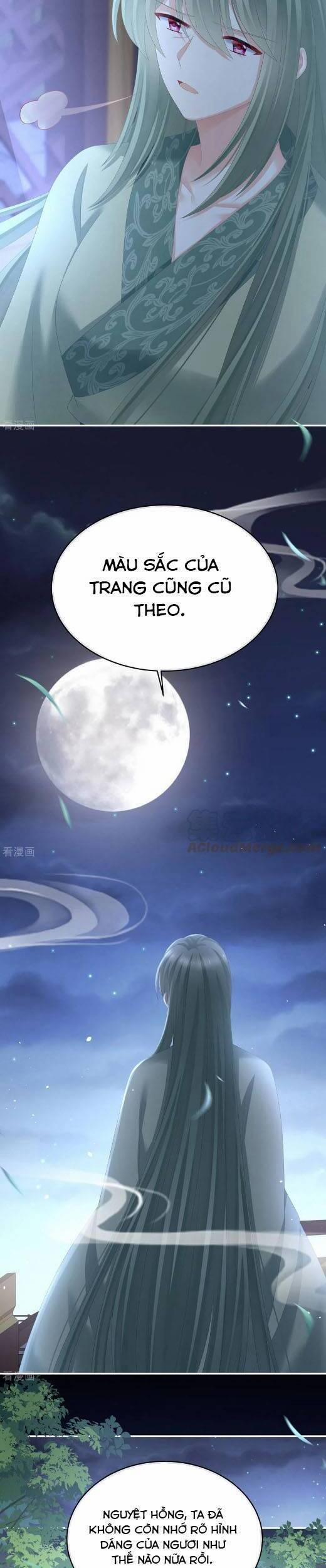 Hậu Cung Của Nữ Đế 294 trang 10