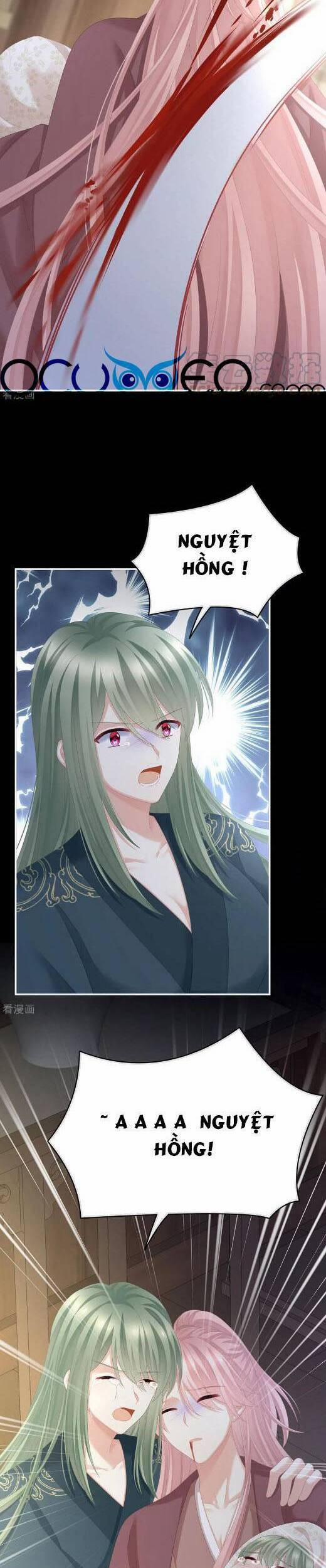 Hậu Cung Của Nữ Đế 294 trang 2