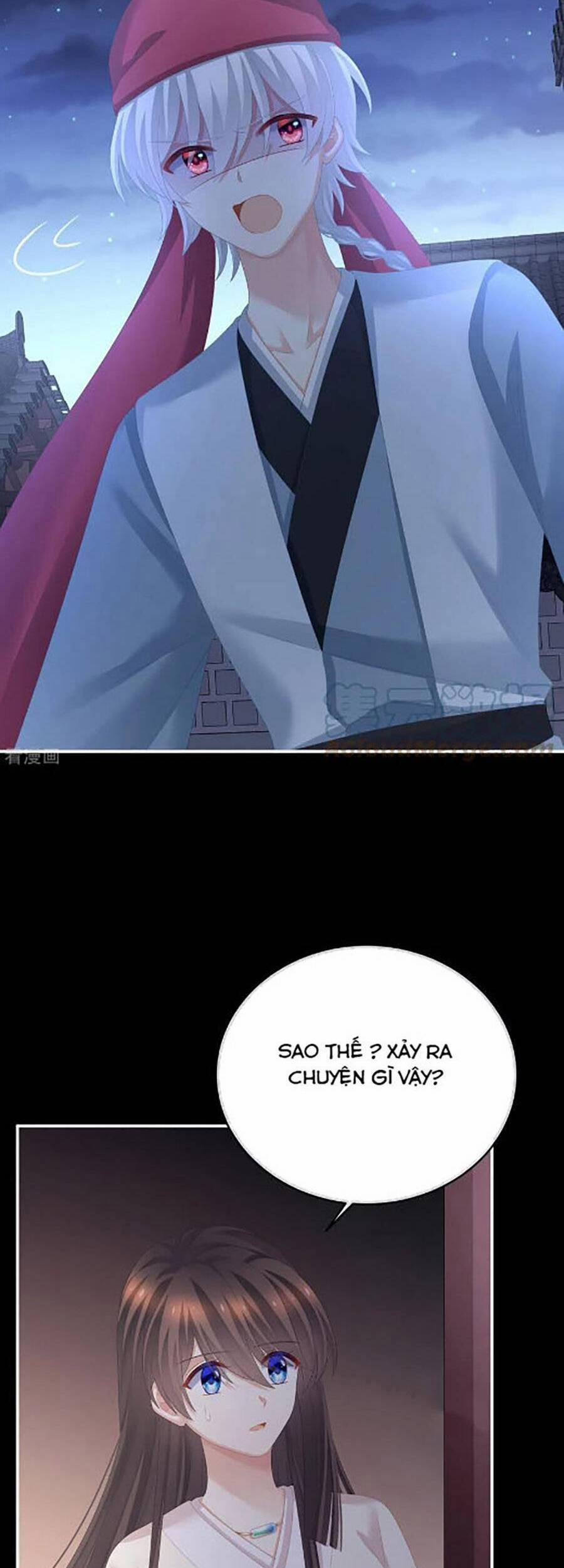 Hậu Cung Của Nữ Đế 297 trang 11