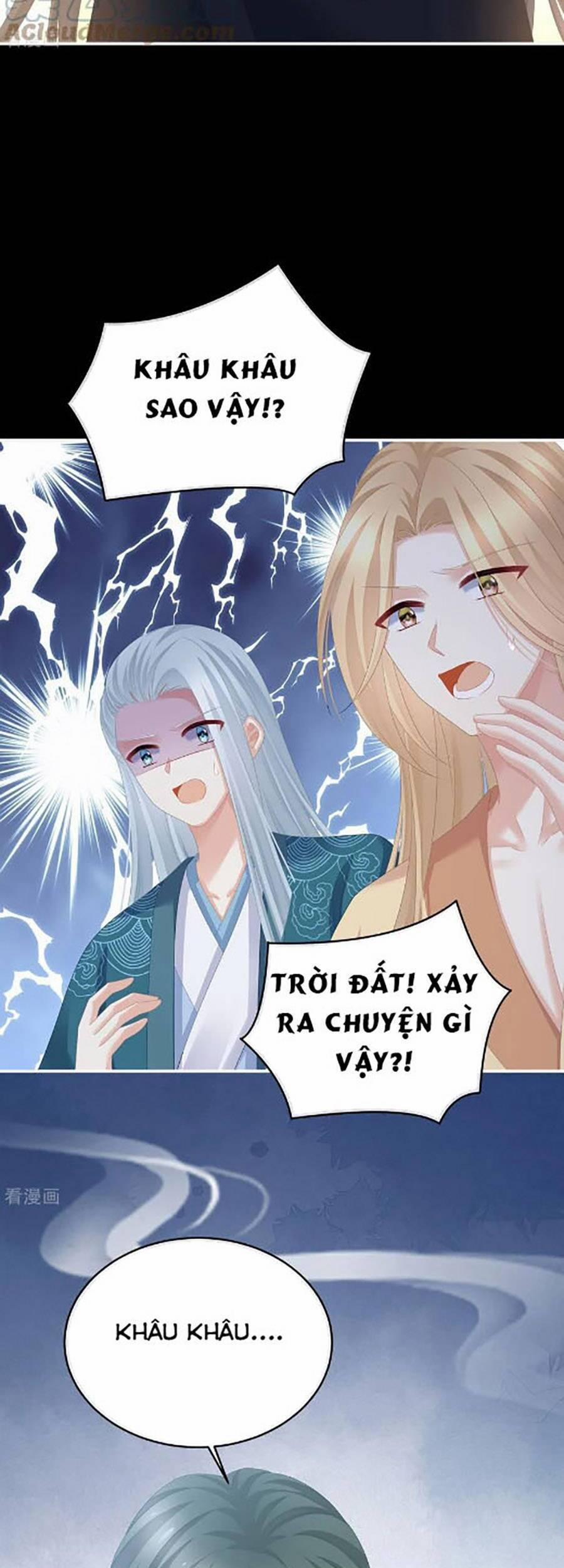 Hậu Cung Của Nữ Đế 299 trang 11