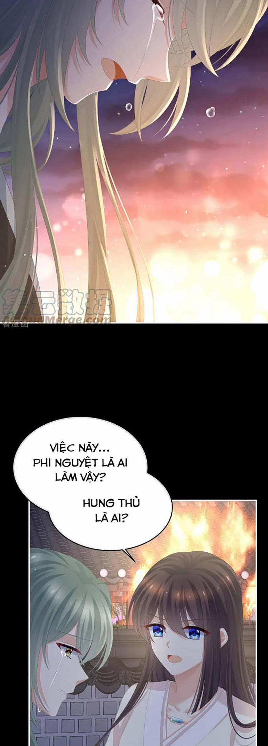 Hậu Cung Của Nữ Đế 299 trang 13