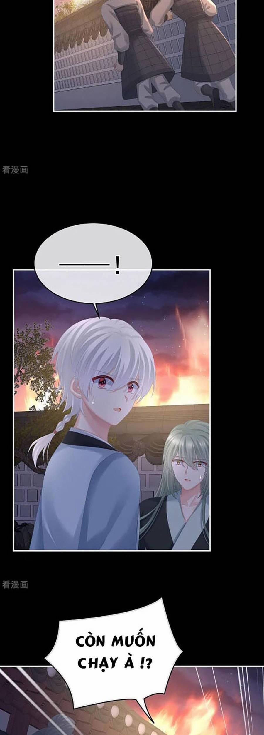 Hậu Cung Của Nữ Đế 299 trang 3