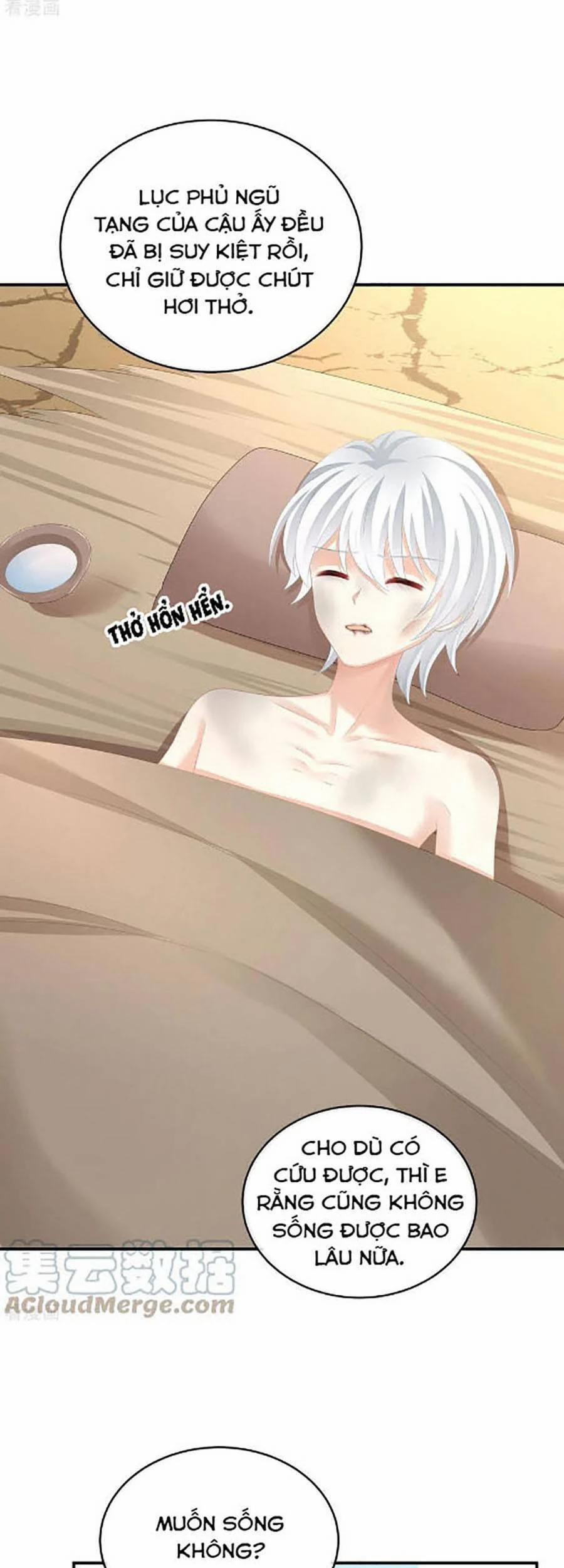 Hậu Cung Của Nữ Đế 302 trang 1