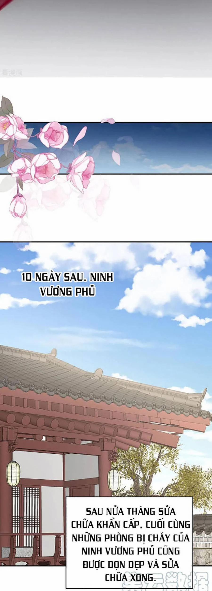 Hậu Cung Của Nữ Đế 302 trang 11