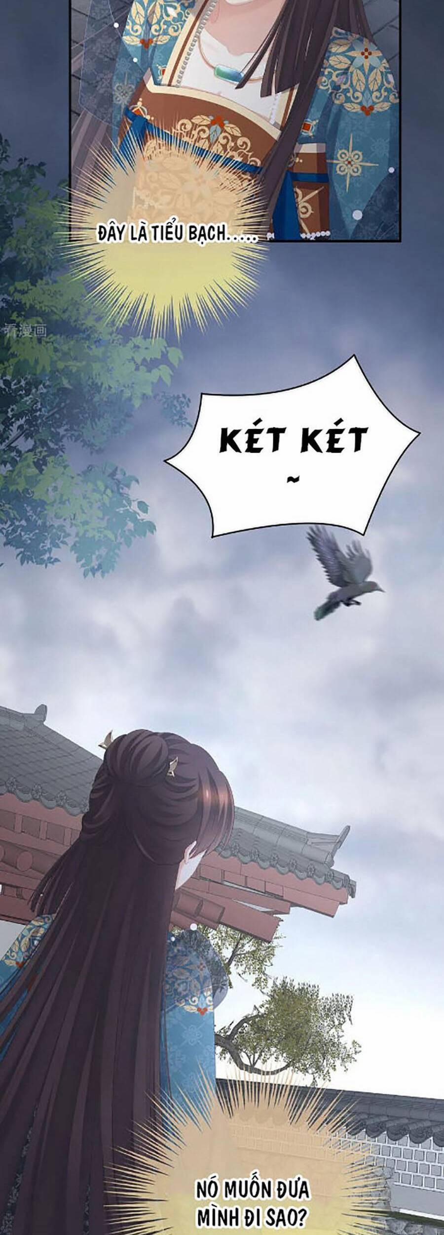 Hậu Cung Của Nữ Đế 302 trang 26