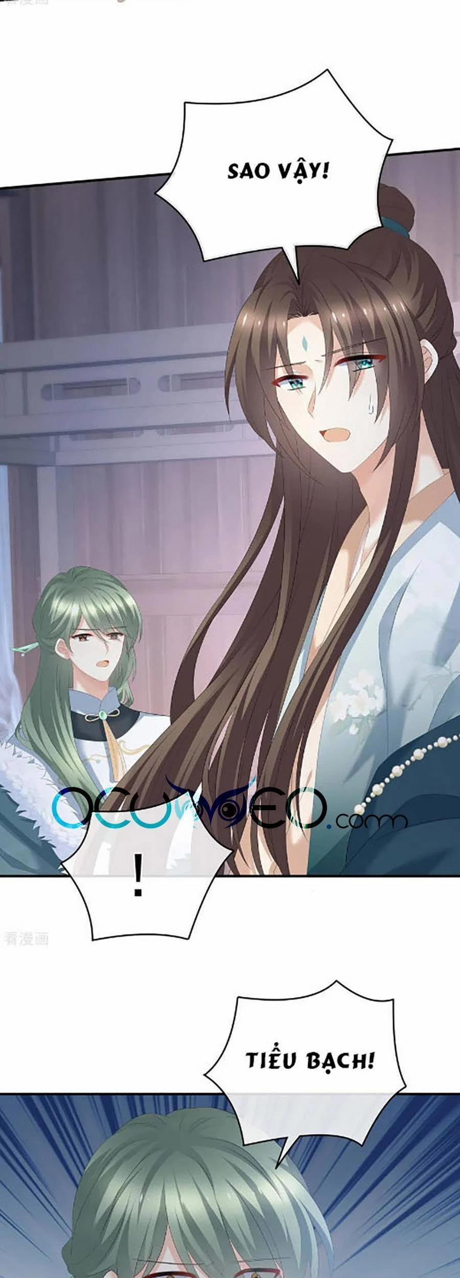 Hậu Cung Của Nữ Đế 303 trang 23