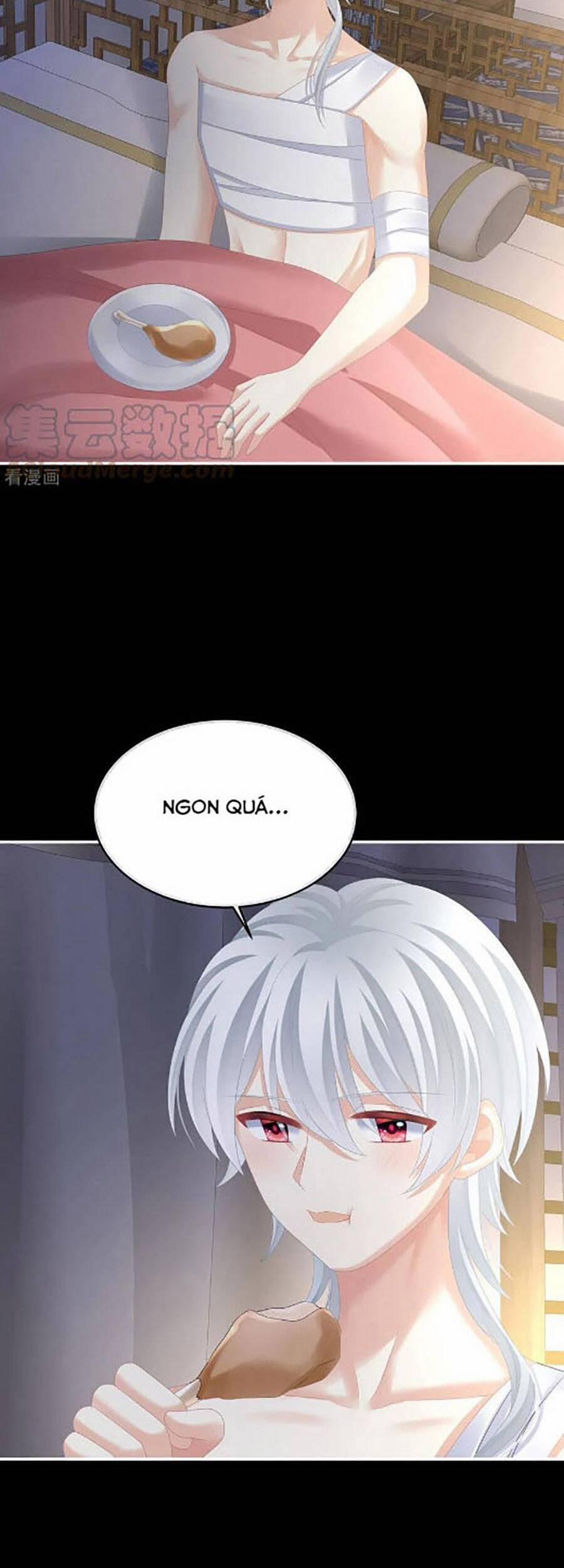 Hậu Cung Của Nữ Đế 304 trang 24