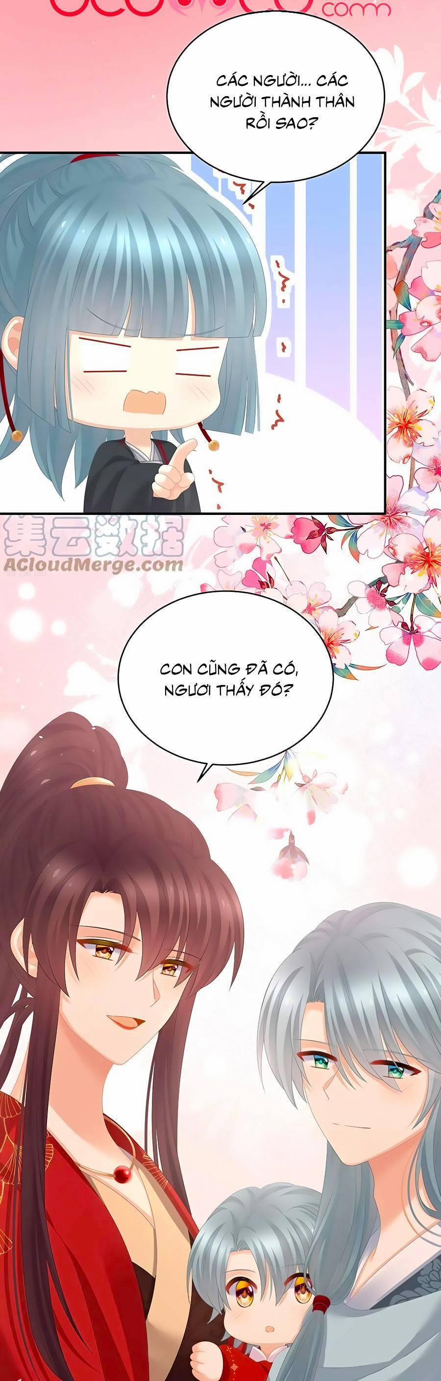 Hậu Cung Của Nữ Đế 317 trang 13