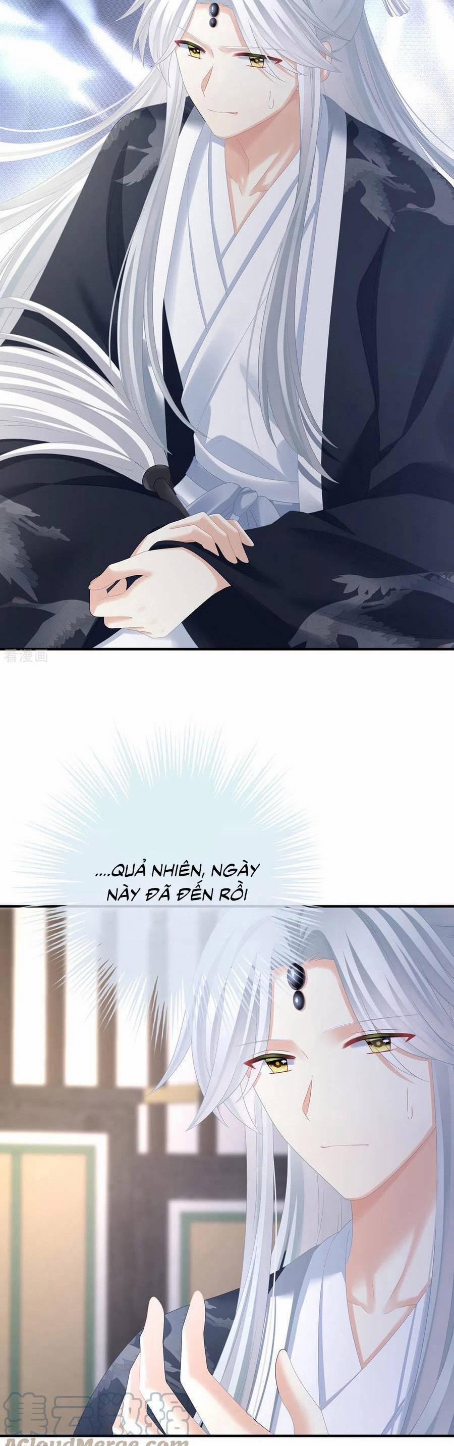 Hậu Cung Của Nữ Đế 331 trang 21