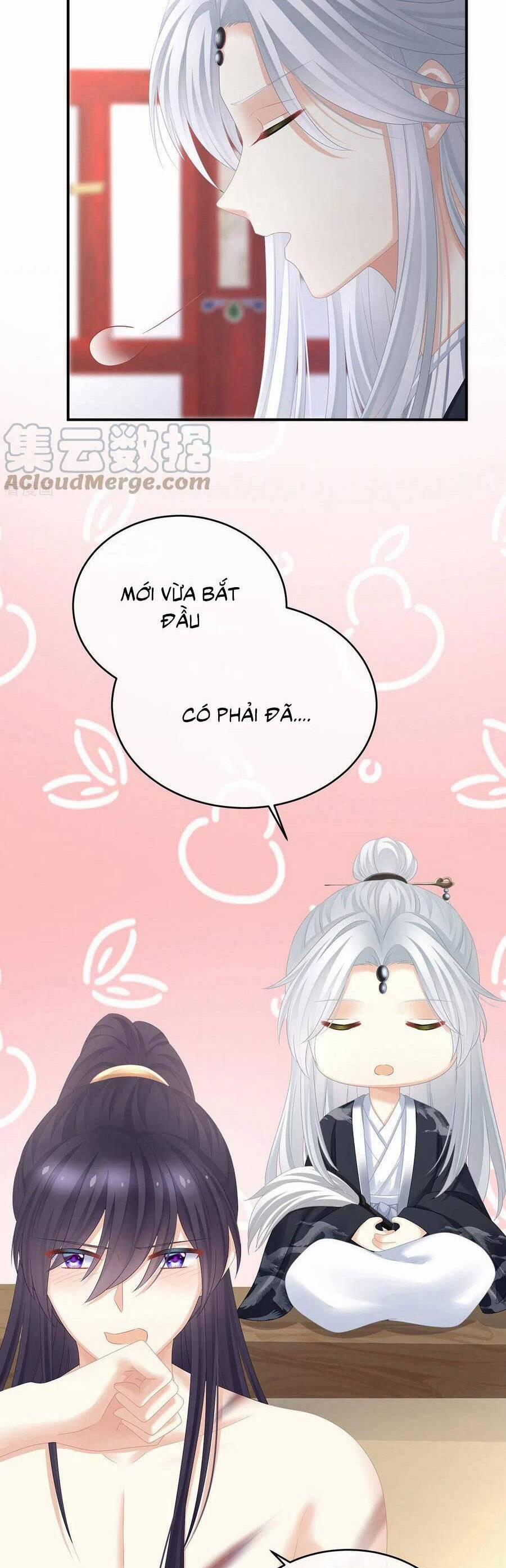 Hậu Cung Của Nữ Đế 331 trang 8