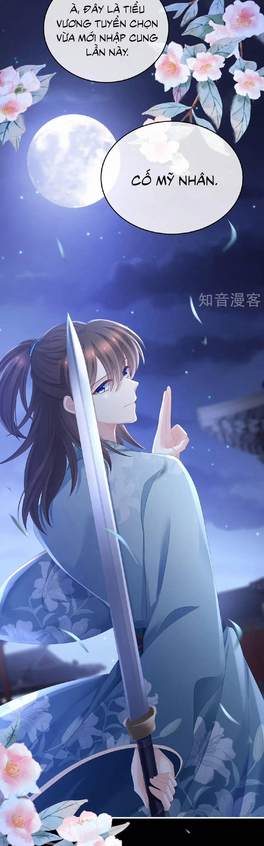 Hậu Cung Của Nữ Đế 339 trang 13