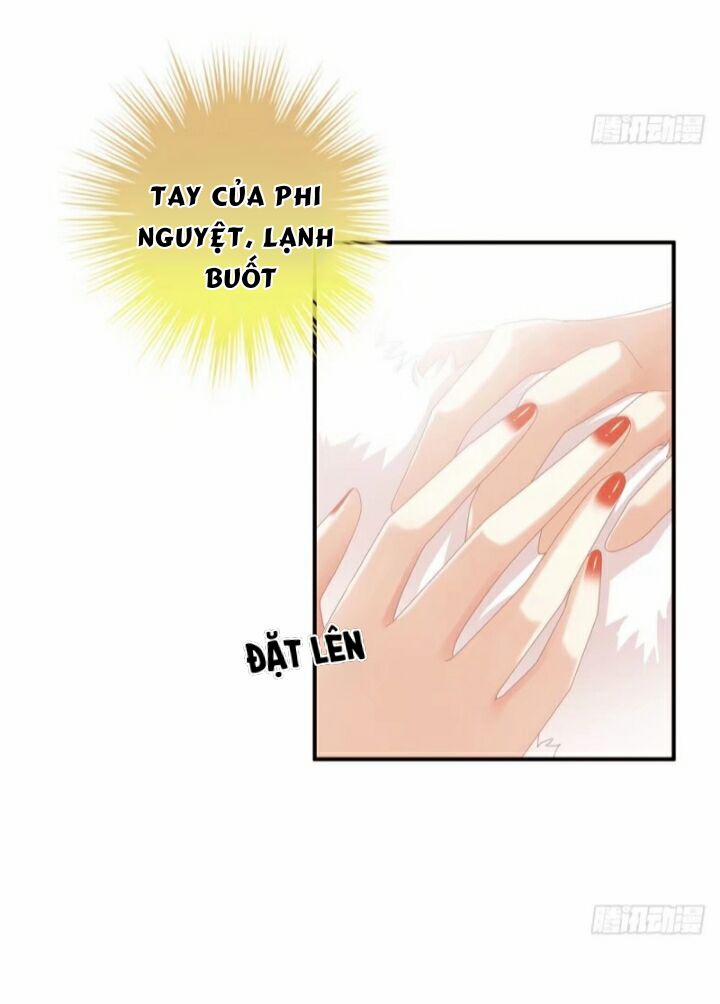 Hậu Cung Của Nữ Đế 39 trang 11